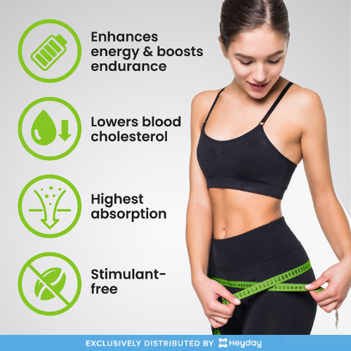 VPLab L-Carnitine (90 Capsules, 1500mg)