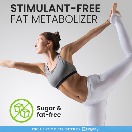 VPLab L-Carnitine (90 Capsules, 1500mg)