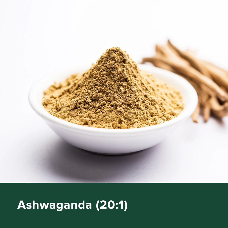 Ashwaganda (20:1) - Heyday Philippines