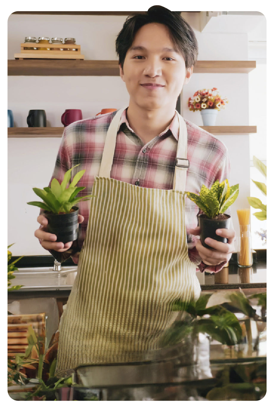 Herbs & Natural Remedies