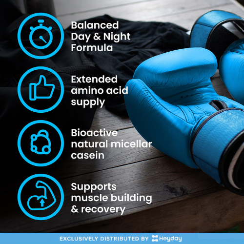 VPLab Sports Casein and Whey in Chocolate Flavor (500g)
