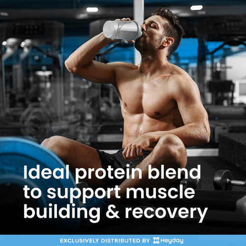 VPLab Sports Casein and Whey in Chocolate Flavor (500g)