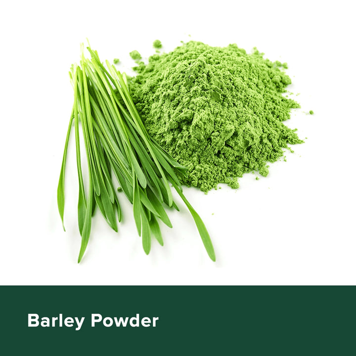 Barley Powder - Heyday Philippines
