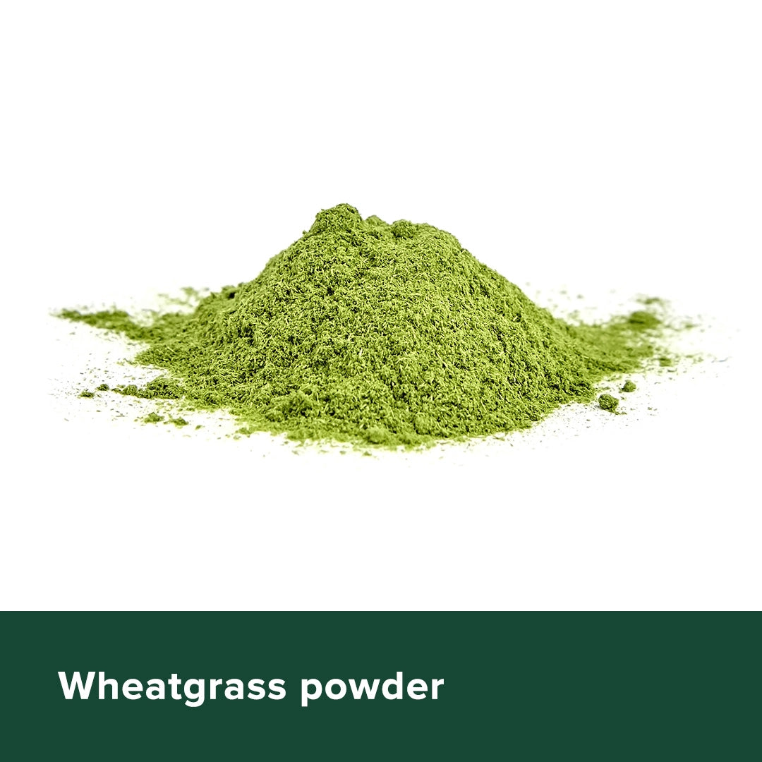Wheatgrass Powder