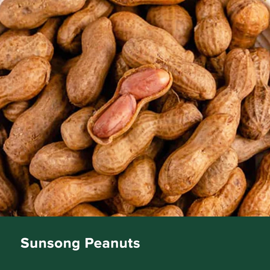 Sunsong Peanuts - Heyday Philippines