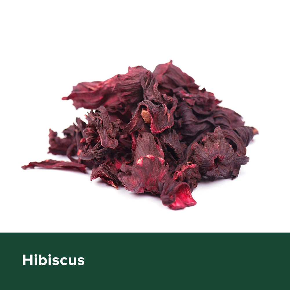 Hibiscus - Heyday Philippines