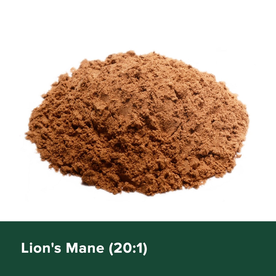 LION'S MANE (20:1)