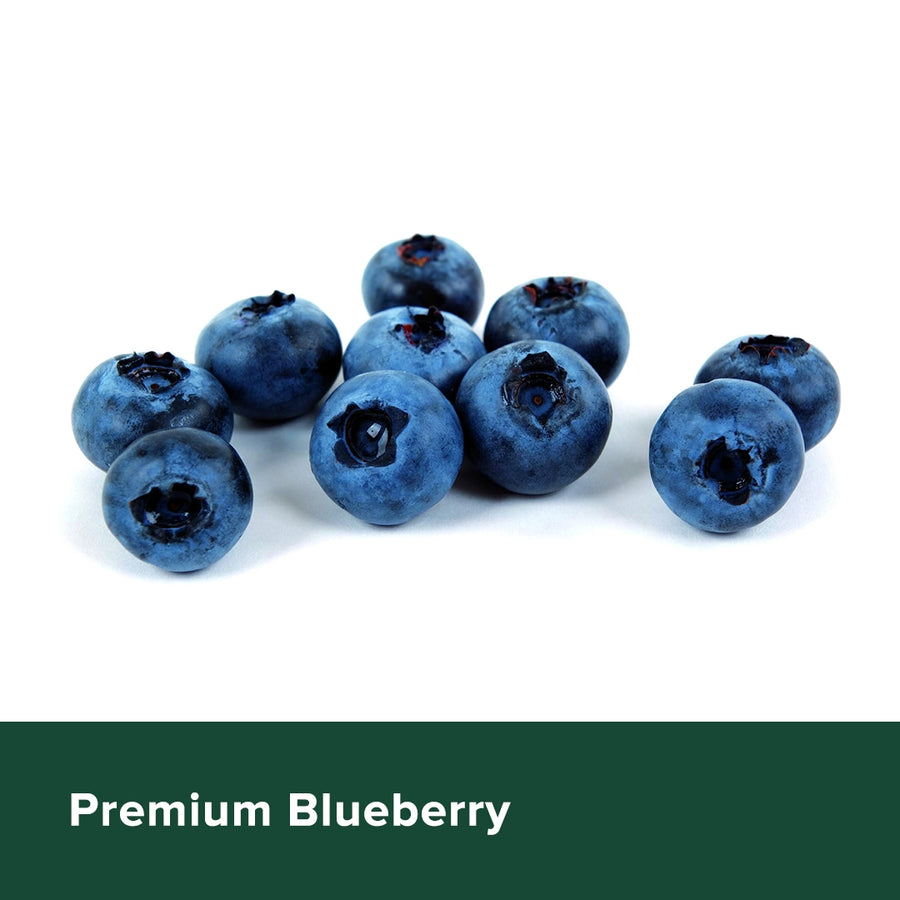 Premium Blueberry