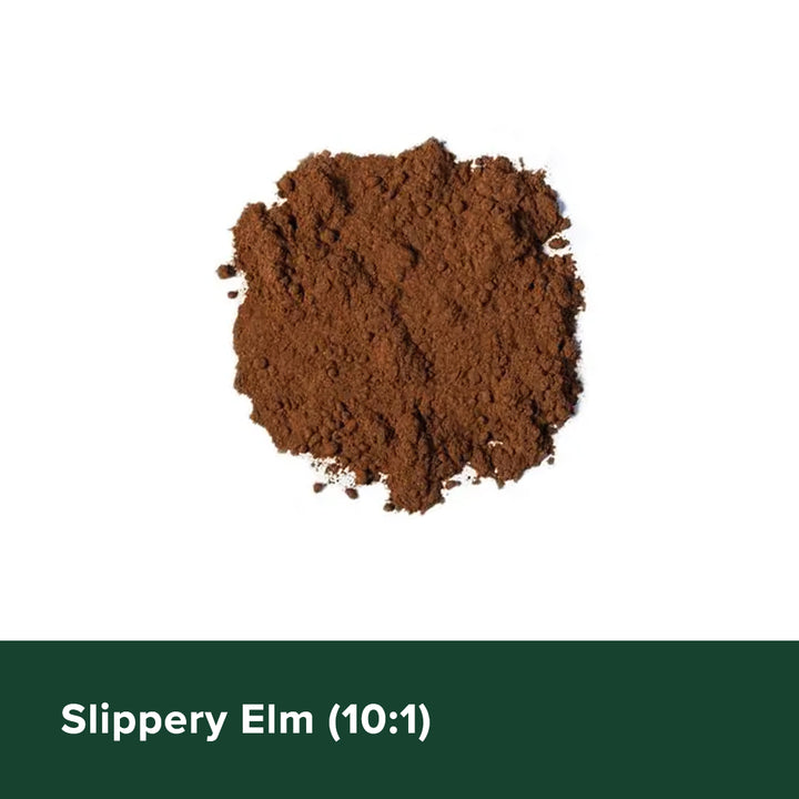 Slippery Elm (10:1)
