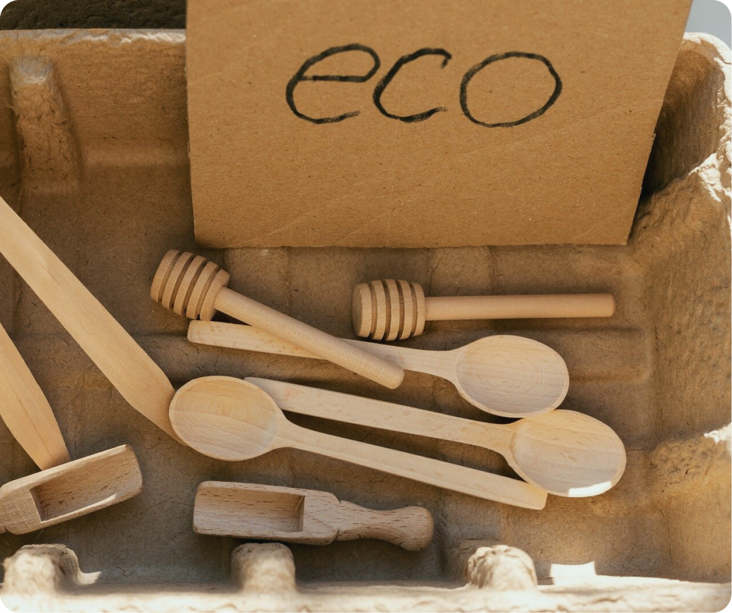 Sustainable Home & Earth-Friendly Finds