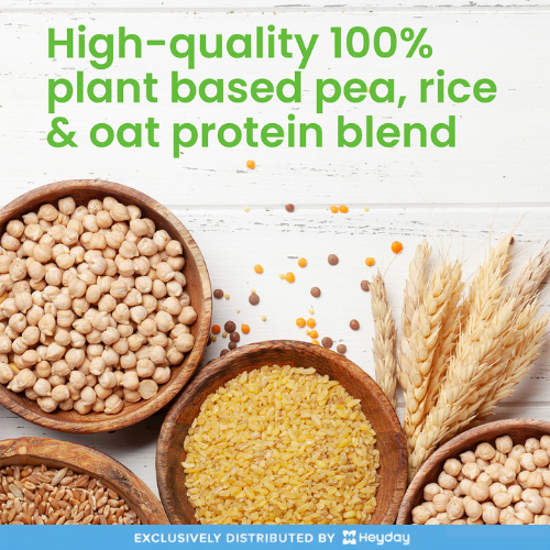 VPLAB Vegan Protein 500 grams